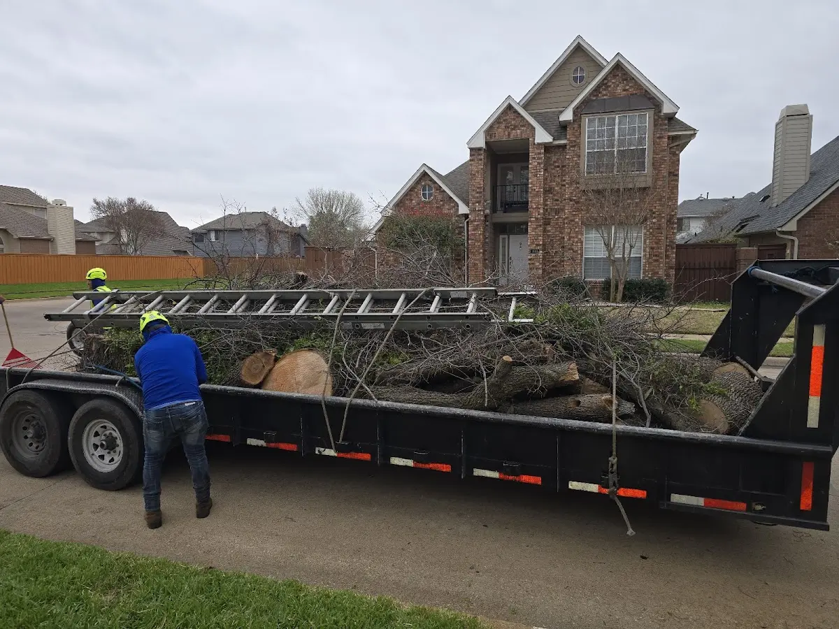 Expert Tree Fertilization with proper safety equipment in Homestead
